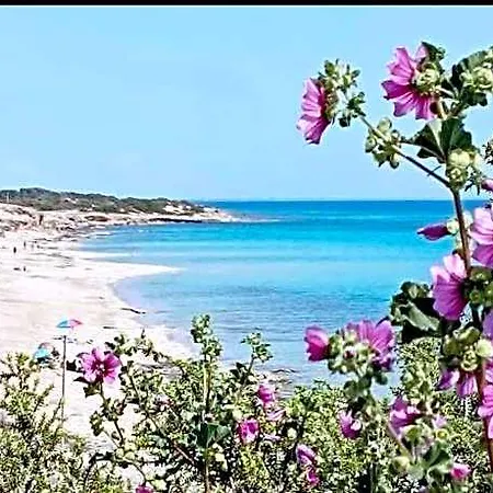 Sole Mare Vento