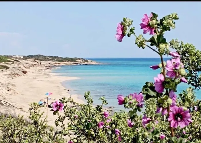 فندق مبيت وإفطار Sole Mare Vento مارودجو